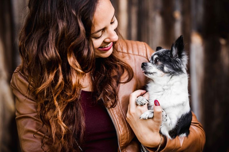 Online Basiskurs Tierkommunikation