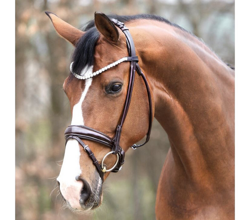 Kavalkade Bridle “Florina”