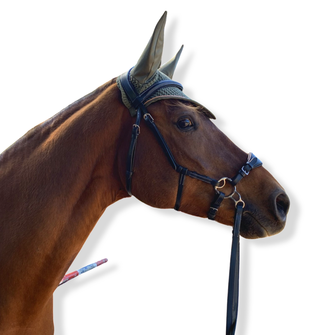 Indiana Hackamore Bridle