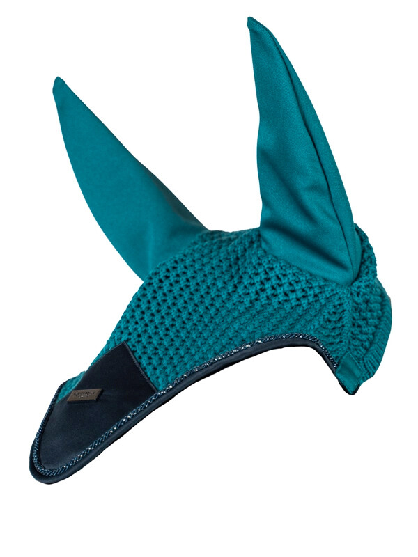 EAR NET AURORA BLUES