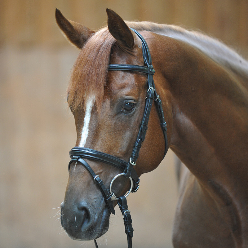Kavalkade Bridle &quot;Quentin&quot; english nb. with flash