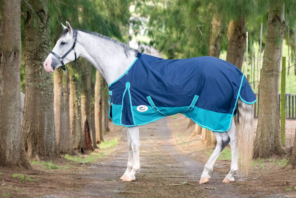 BSE Rain Sheet