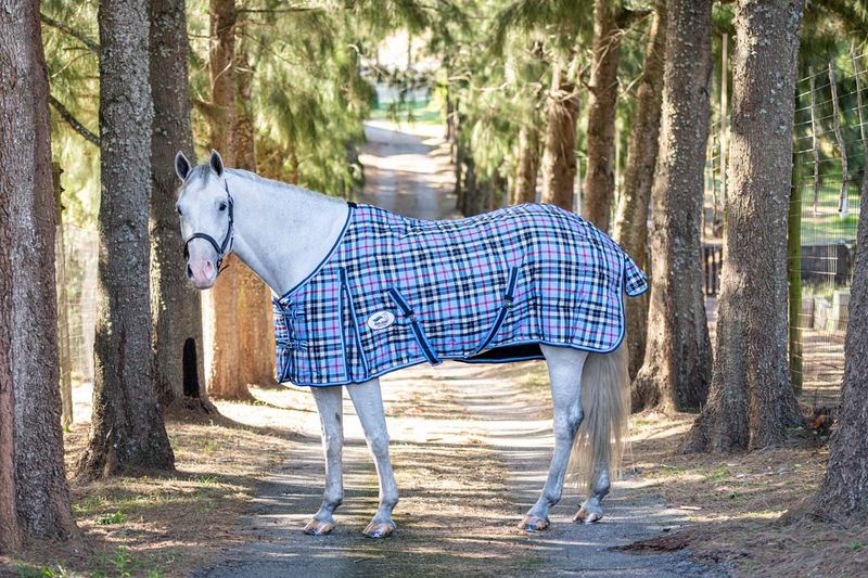 BSE Stable Rug