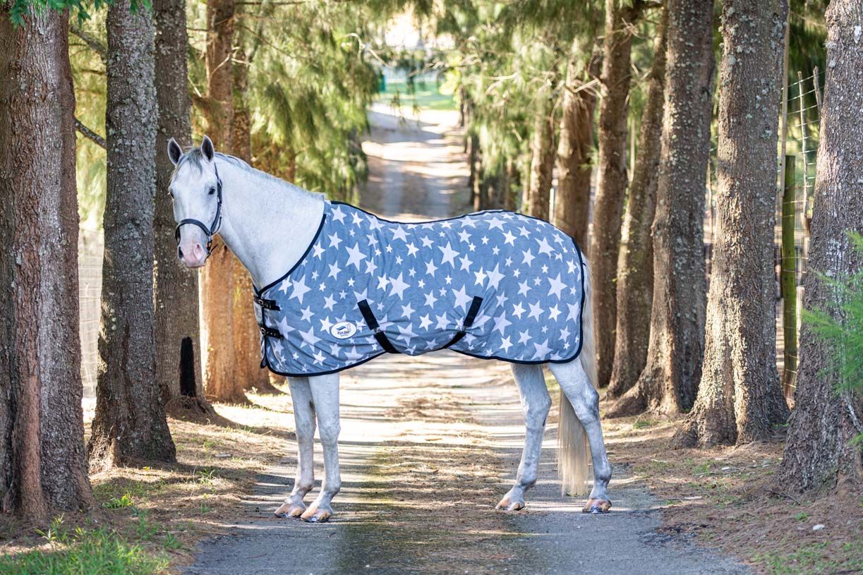 BSE Polar Fleece Blanket Grey Stars
