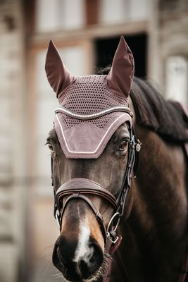 Ear Veils
