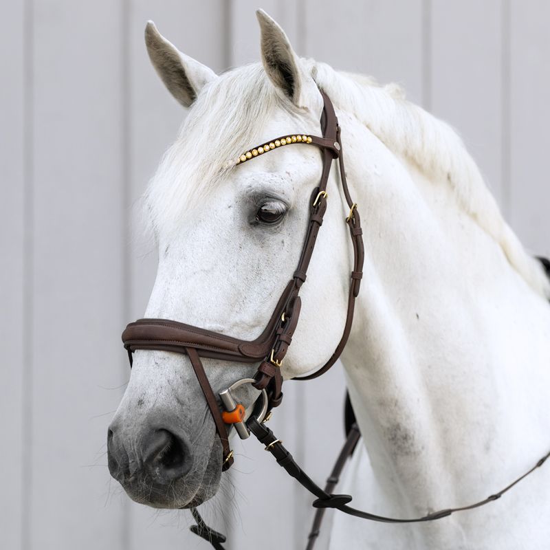 Kavalkade Bridle &quot;Caliano&quot; english nb. with flash