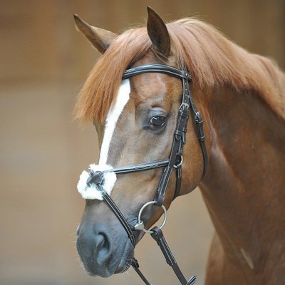 Kavalkade bridle "Diandro", mexican Kavalkade bridle "Diandro", mexican