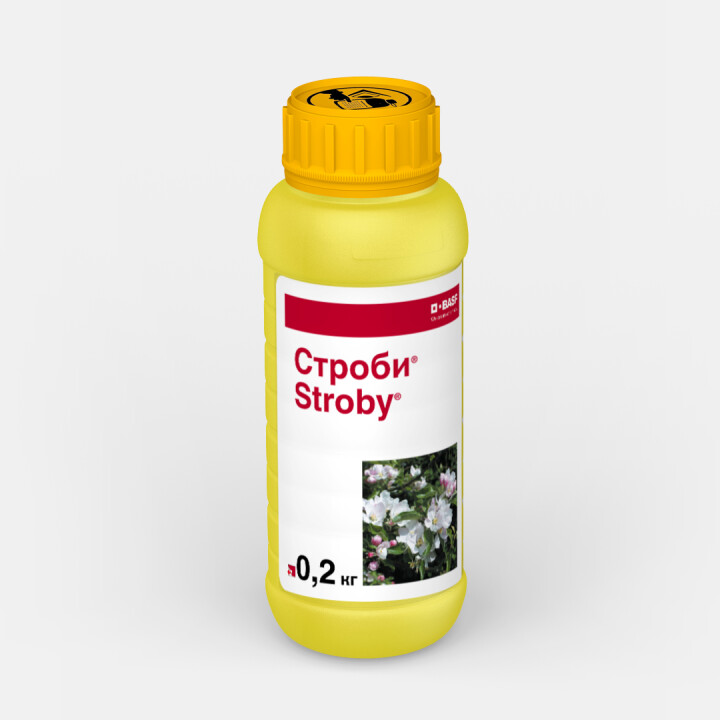 Basf строби отзывы. Basf строби отзывы