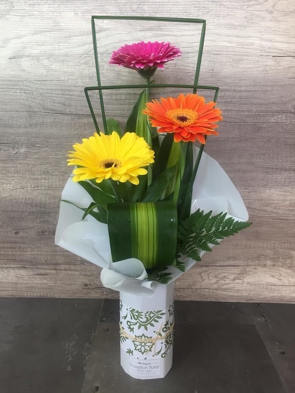 Gerbera Cylinder