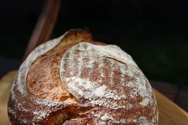 Sourdough Bread