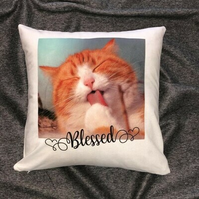 Felt Cushion