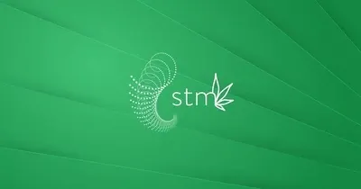STM Mini RocketBox Plus VFD