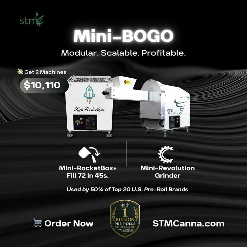 BOGO Mini Bundle