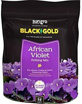 Black Gold African Violet Mix 8 qt