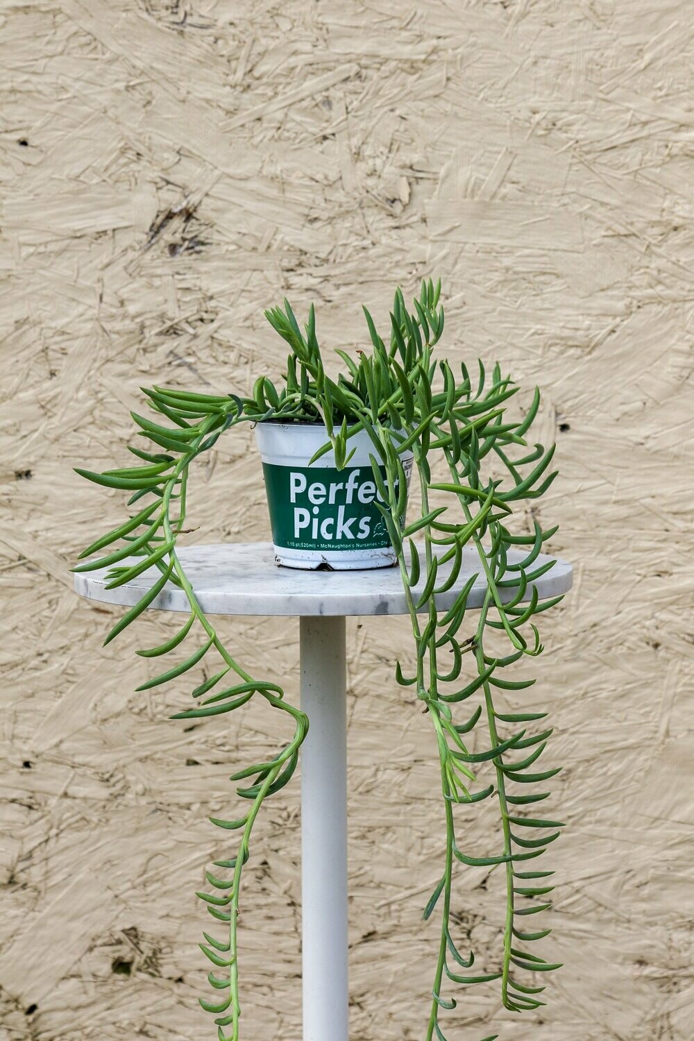 Seneco Fishhooks