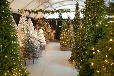 Trees