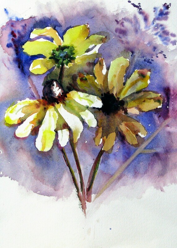 Cone Flowers