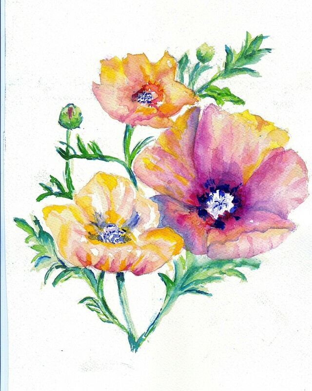Poppies 1