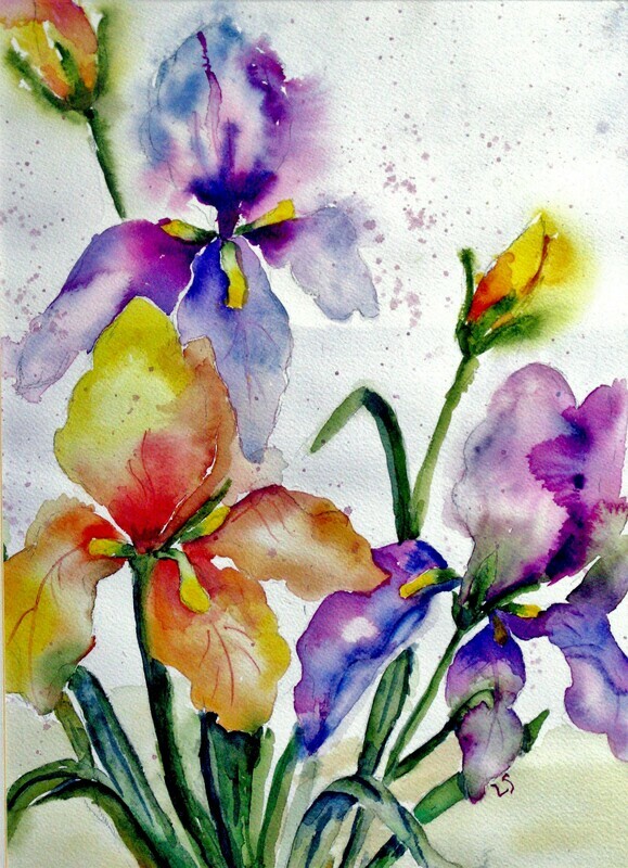 Iris Flags