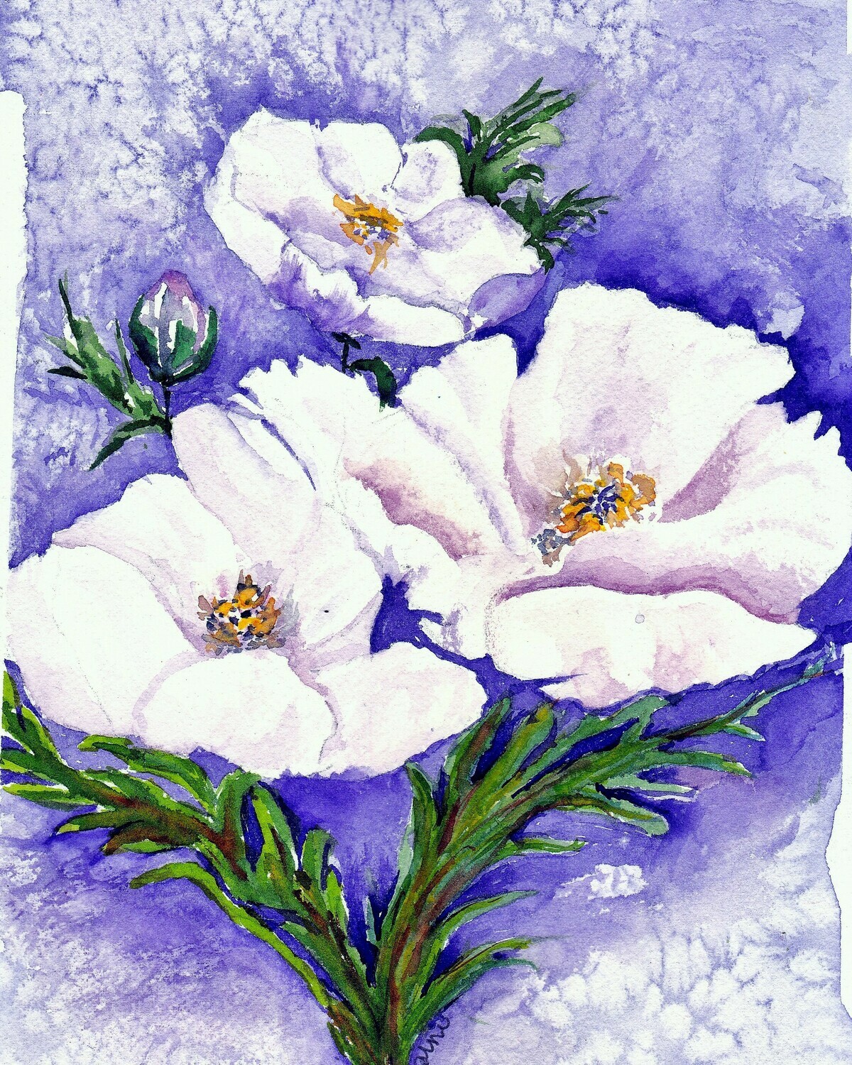 Lavender Poppies