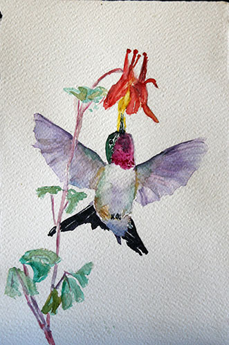 Sweet Columbine