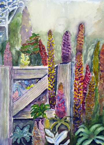 Garden Gate