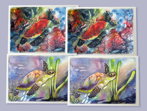 Turtle Notecards (set of 4)