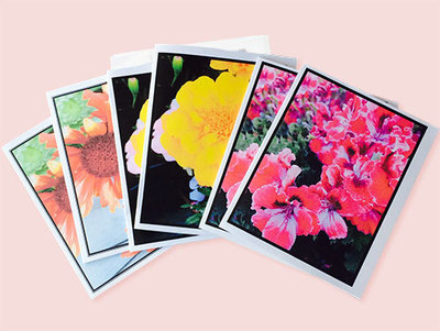 Summer Flower Notecards (Set of 6)