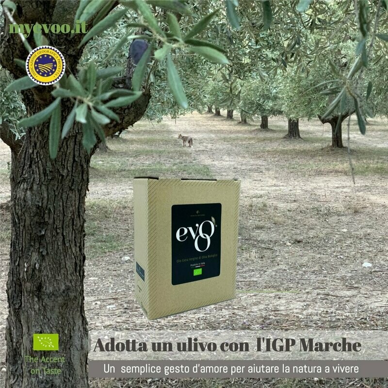 ADOTTA ULIVO con l'IGP MARCHE 3l