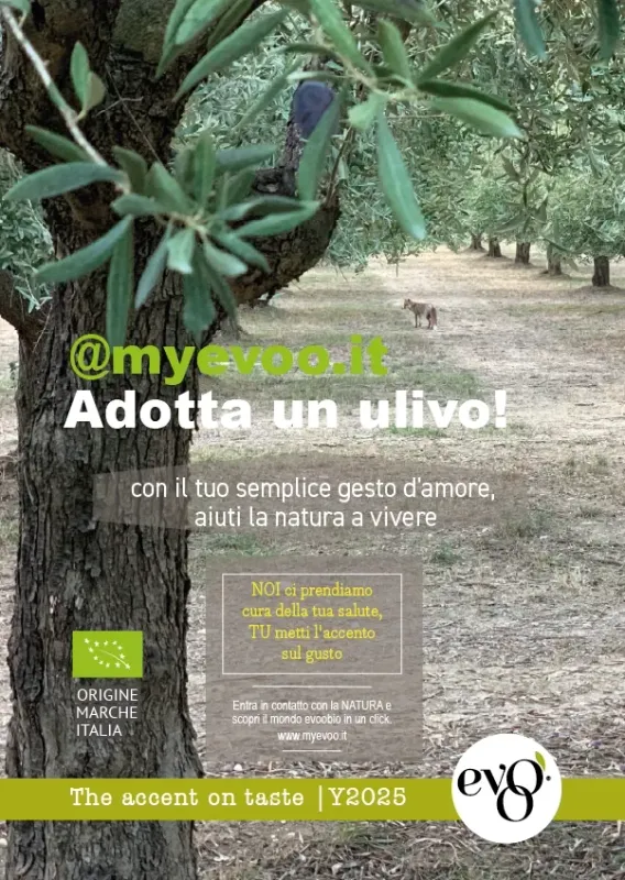 ADOTTA ULIVO con EVOOBIO DAILY BLEND 3l ADOTTA ULIVO con EVOOBIO DAILY BLEND 3l