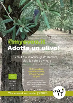 ADOTTA ULIVO con EVOOBIO DAILY BLEND  3l
