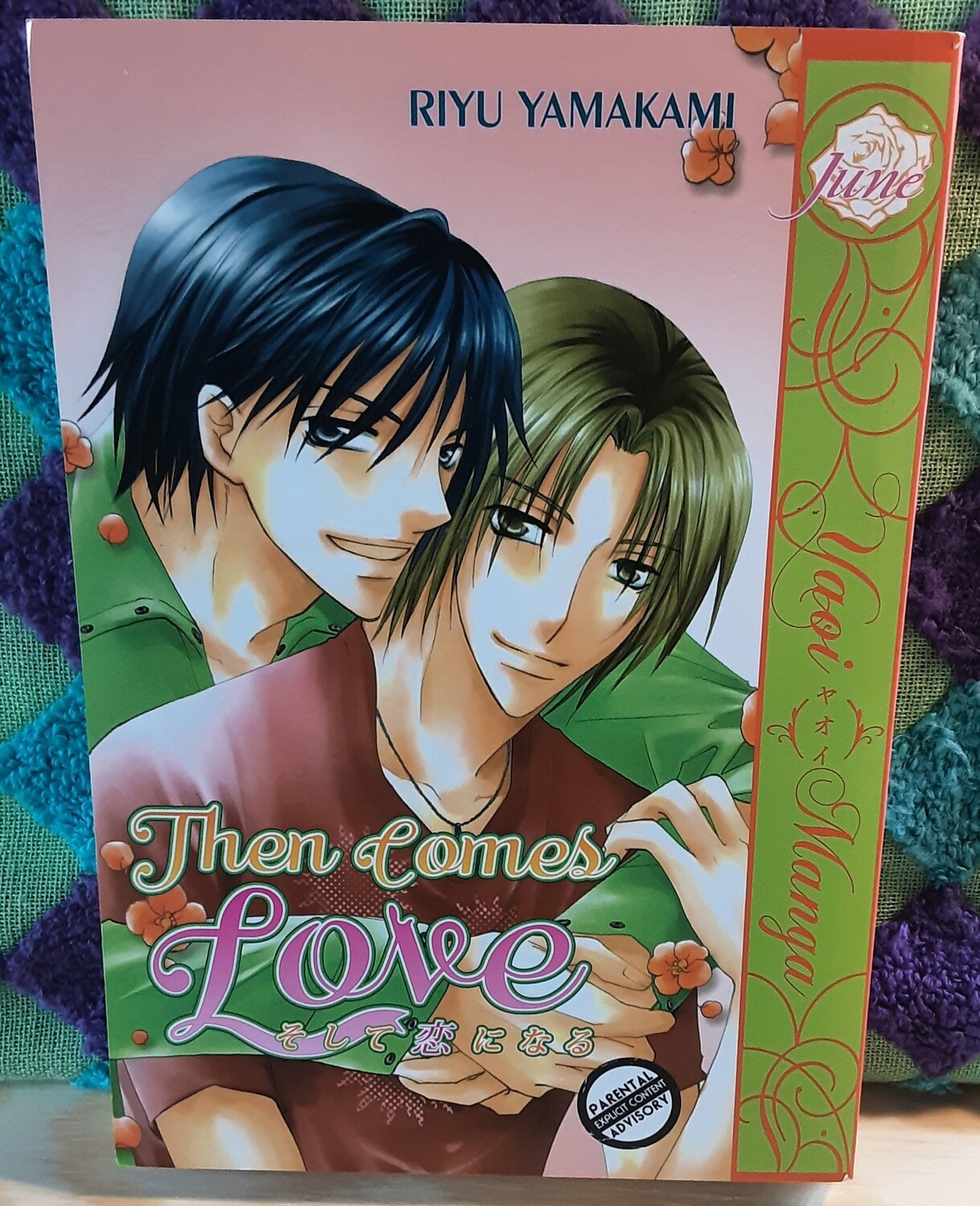 Yamakami Riyu Manga