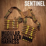 SENTINEL