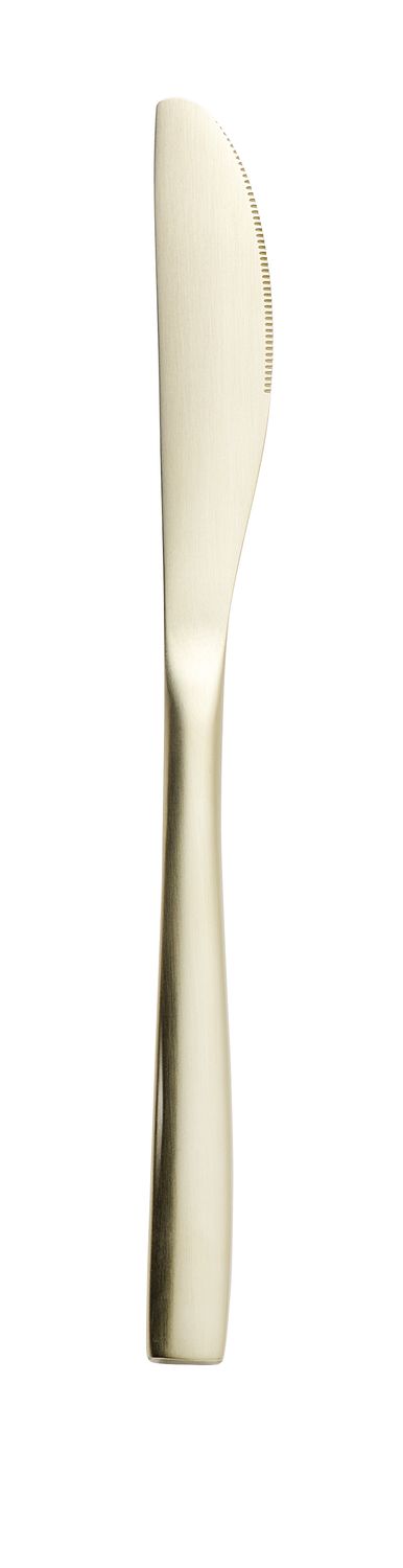 Champagne Dessert / Starter Knife