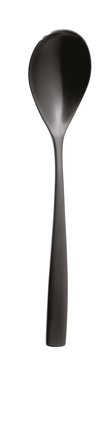 Black Dessert Spoon