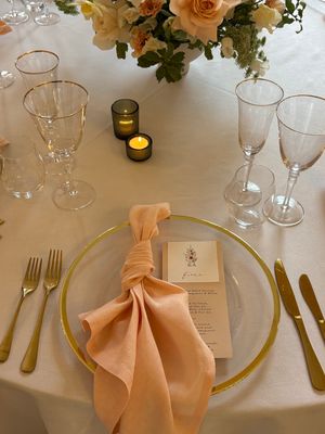 Pure Linen Napkins - Plain