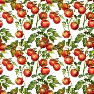The Tomato Vine - Napkin