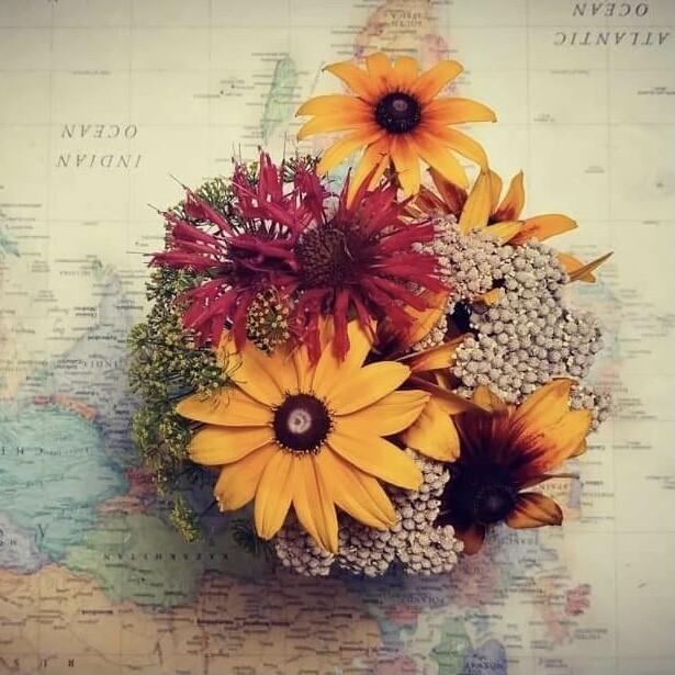 Wildflower
