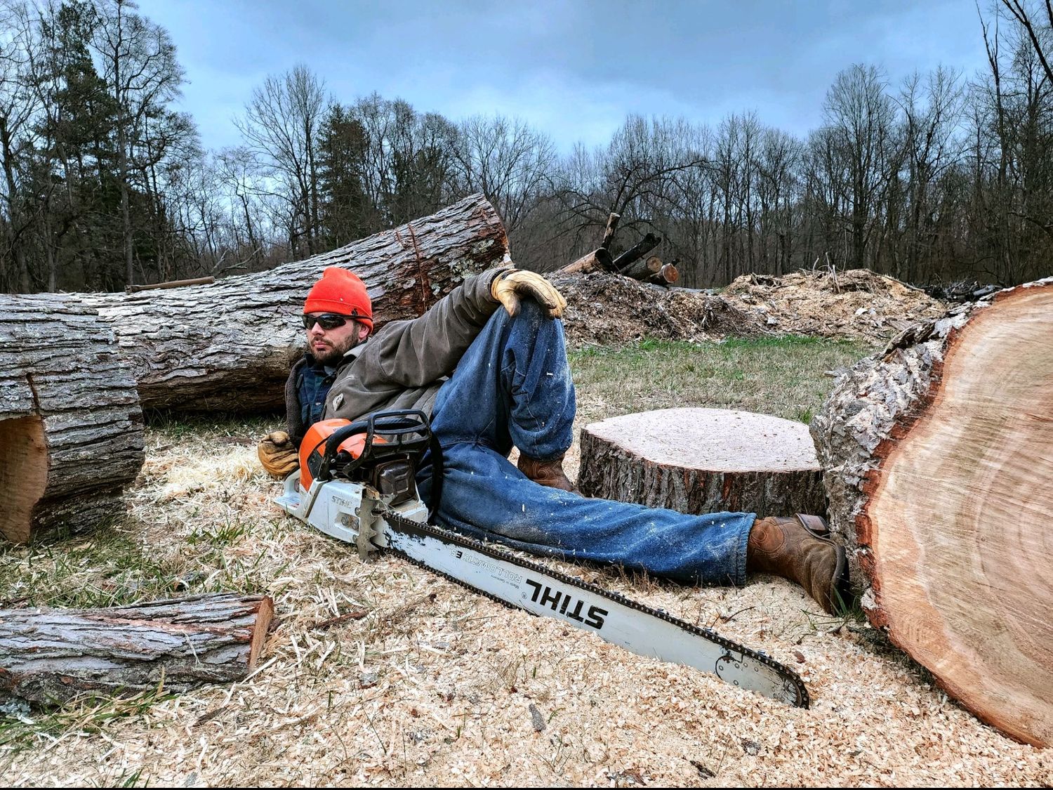 Sawdust