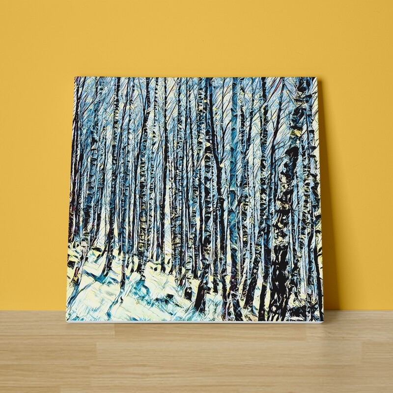 Silver Birches Canvas Print