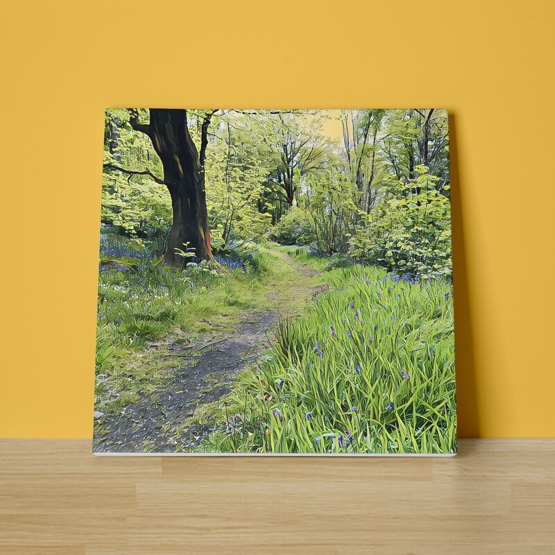 A Woodland Walk Canvas Print