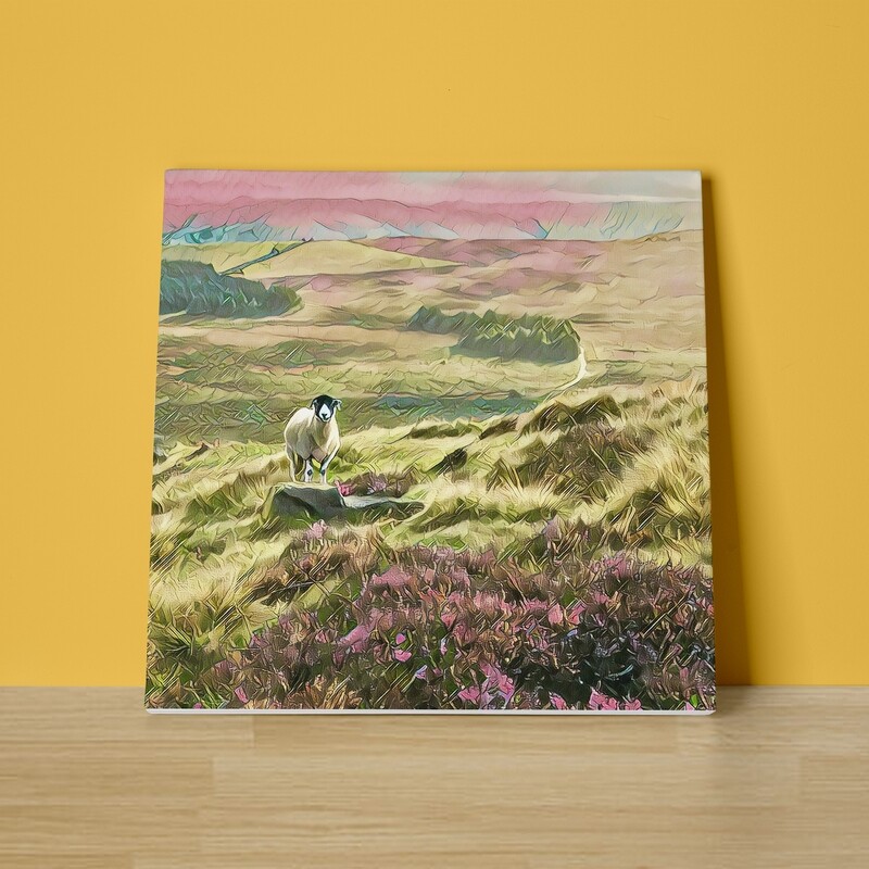 Stanage Sheep Canvas Print