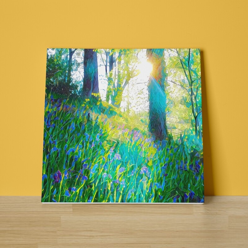 Bluebell Woods Canvas Print