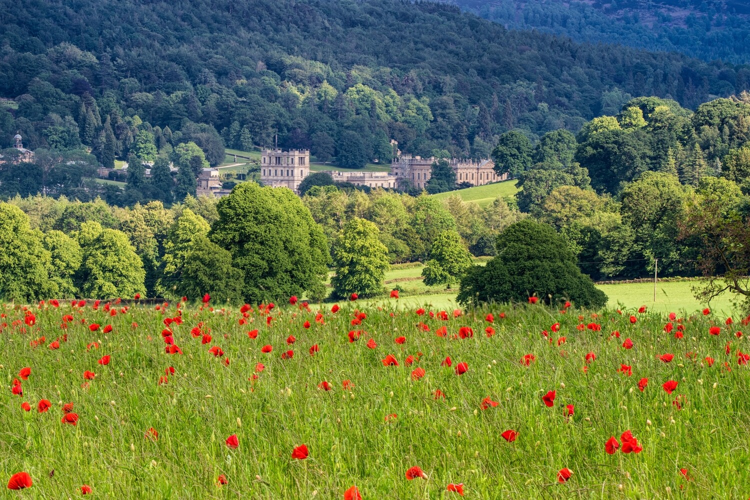 Bubnell Poppy Field and Chatsworth House
