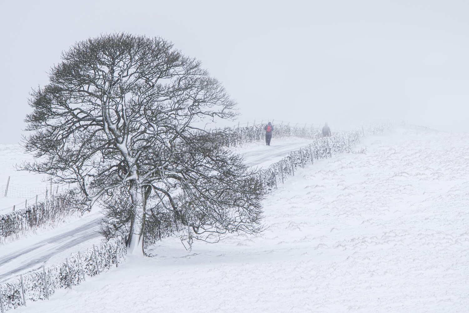 A Winter Walk Print Options (January from the Calendar)