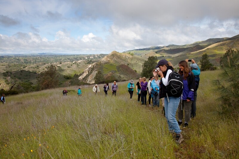 Sedgwick Strenuous Hike. Fire Ecology in the Pine Needle Valley. December 13, 2025