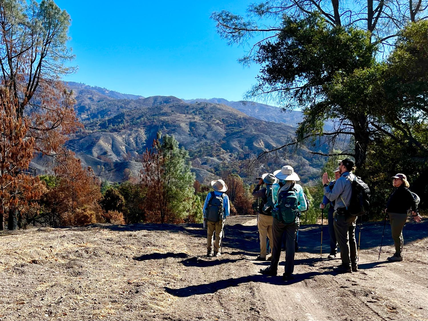 Sedgwick Moderate Hike. Fire Ecology: Hike to the Heart.  May 10th, 2025