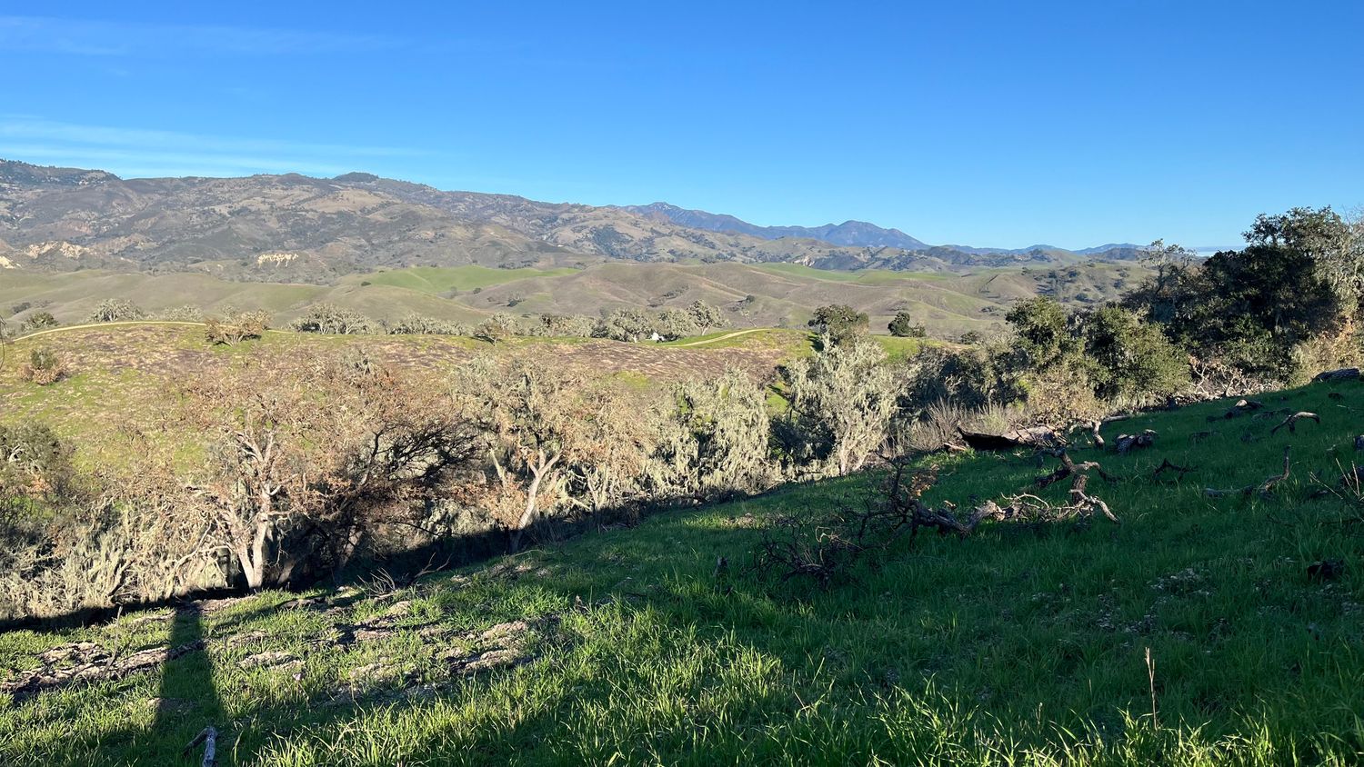 Sedgwick Moderate Hike. Goldfinch Barn Trail. Jan 24, 2026