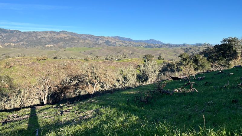 Sedgwick Moderate Hike. Goldfinch Barn Trail. Jan 24, 2026