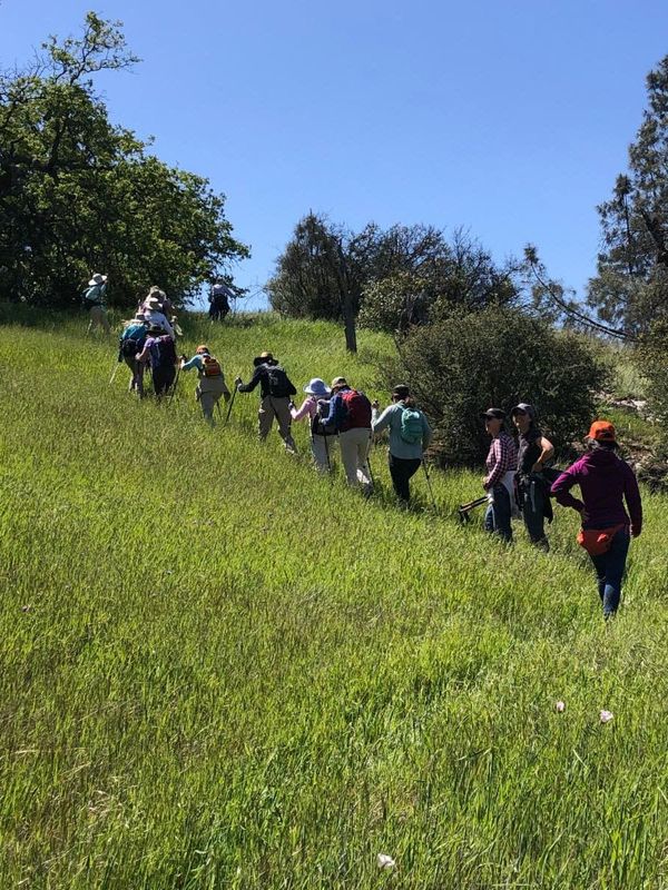 Sedgwick Easy-Moderate Hike. Arroyo Willow. May 10th, 2025